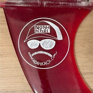 Donald Takayama RLB 10 inches